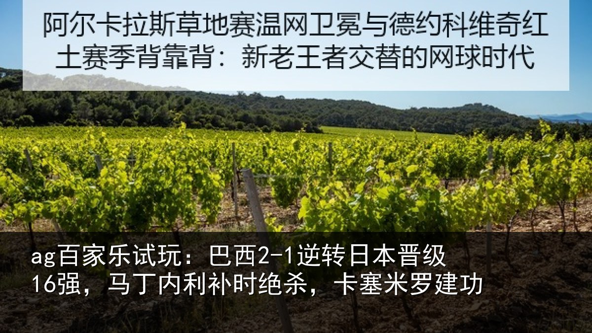 ag百家乐试玩:巴西相关情况丁内相关情况罗建功