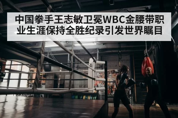 中国拳手王志敏卫冕WBC金腰带职业生涯保持全胜纪录引发世界瞩目