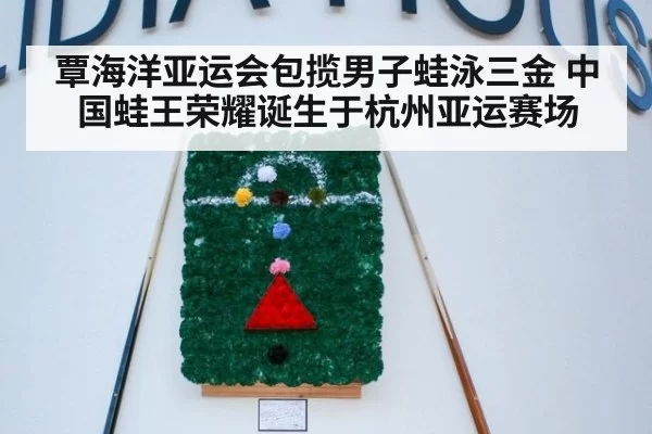 覃海洋亚运会包揽男子蛙泳三金 中国蛙王荣耀诞生于杭州亚运赛场